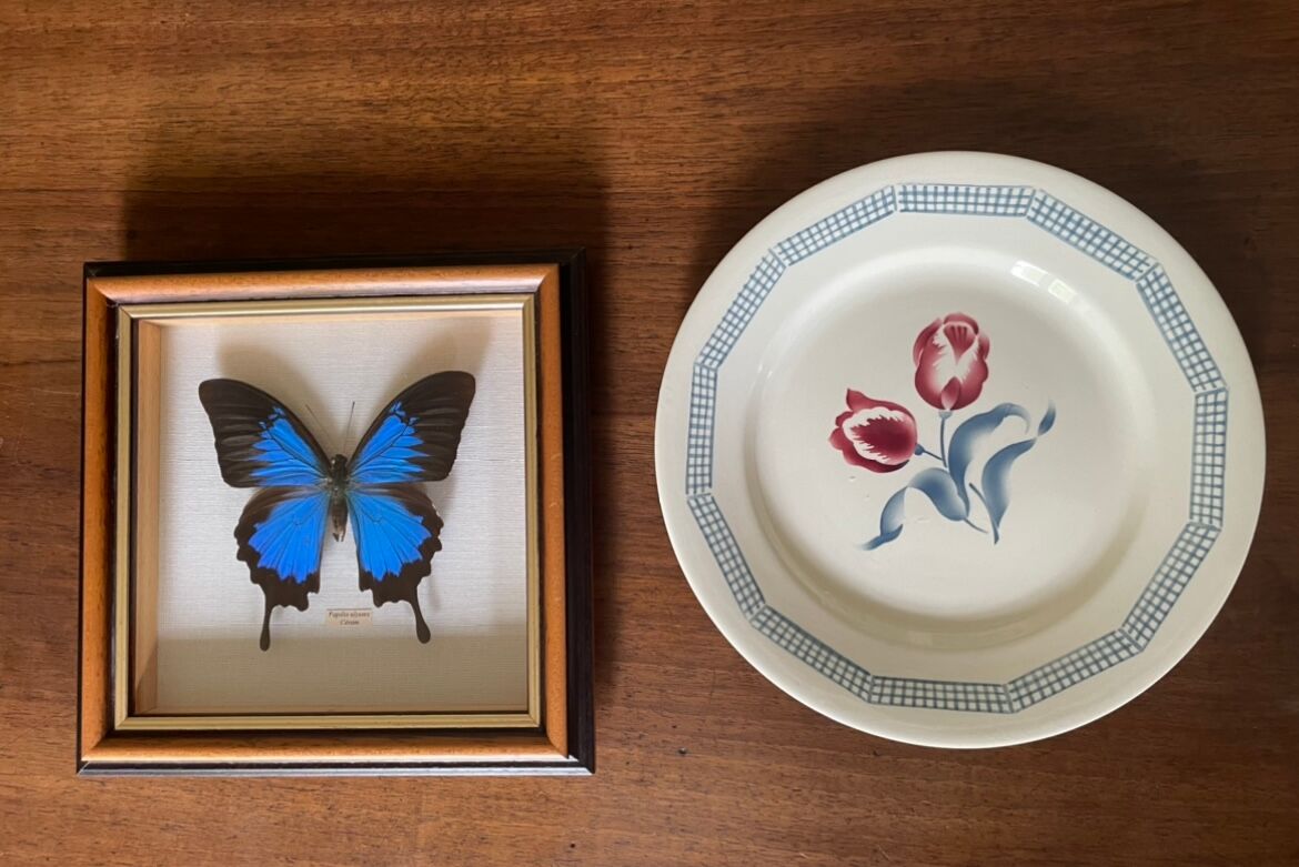 Naturalized butterfly frame