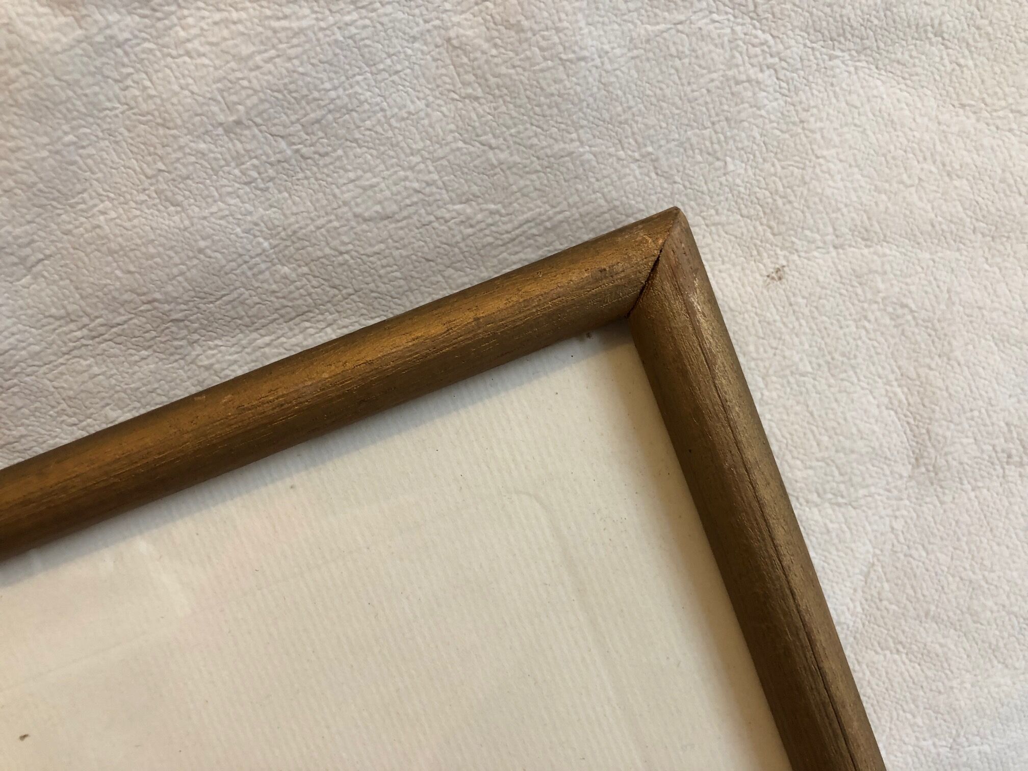 Dreaded Frame Rosa "Rosa alba Regalis"