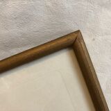 Dreaded Frame Rosa "Rosa alba Regalis"