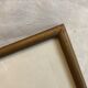 Dreaded Frame Rosa "Rosa alba Regalis"