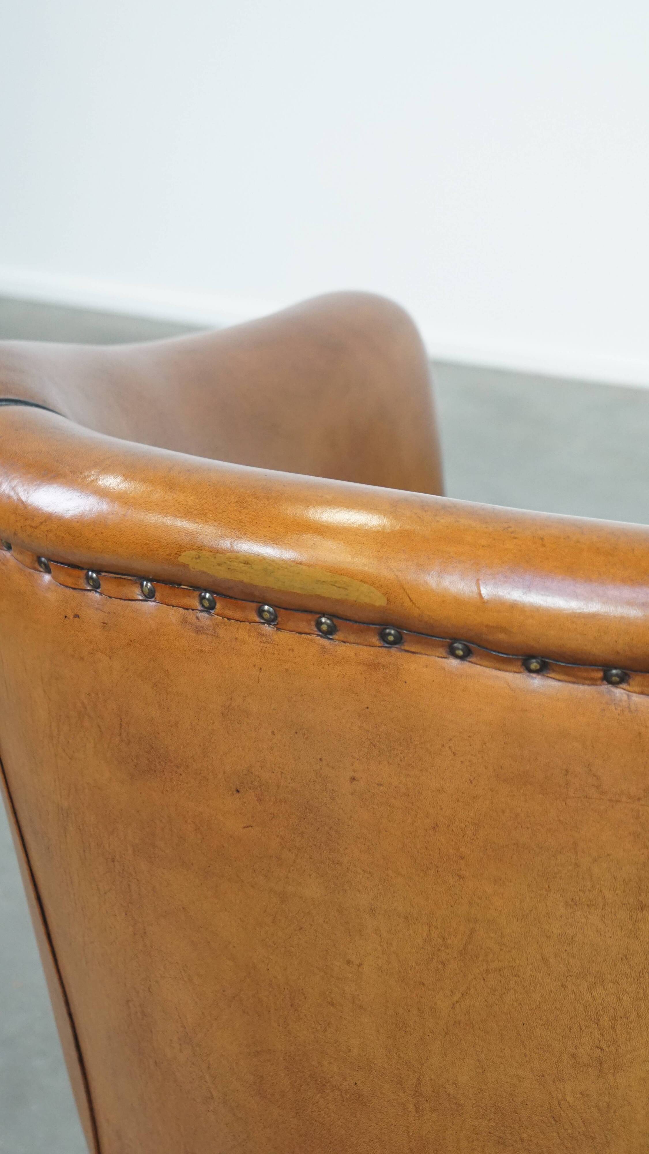 Sheep leather club chair finished with black piping