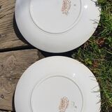 Earthenware dessert plates