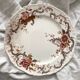 2 polychrome ironstone dinner plates "Wentworth" by Emile Bourgeois