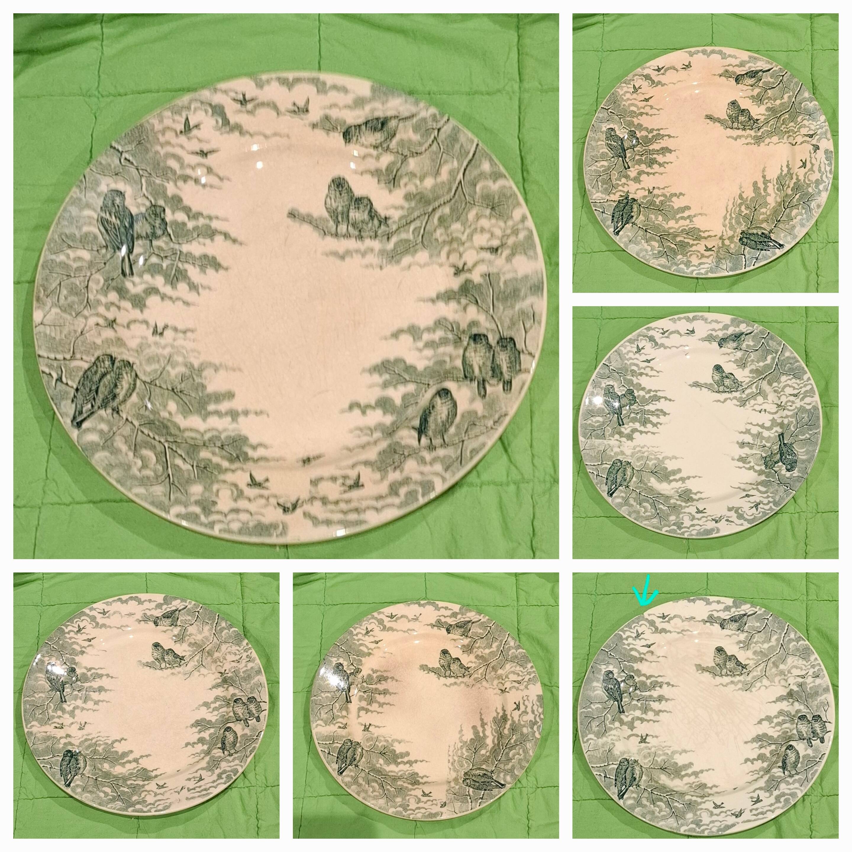 Sarreguemines Snow 6-Person Dinnerware Set