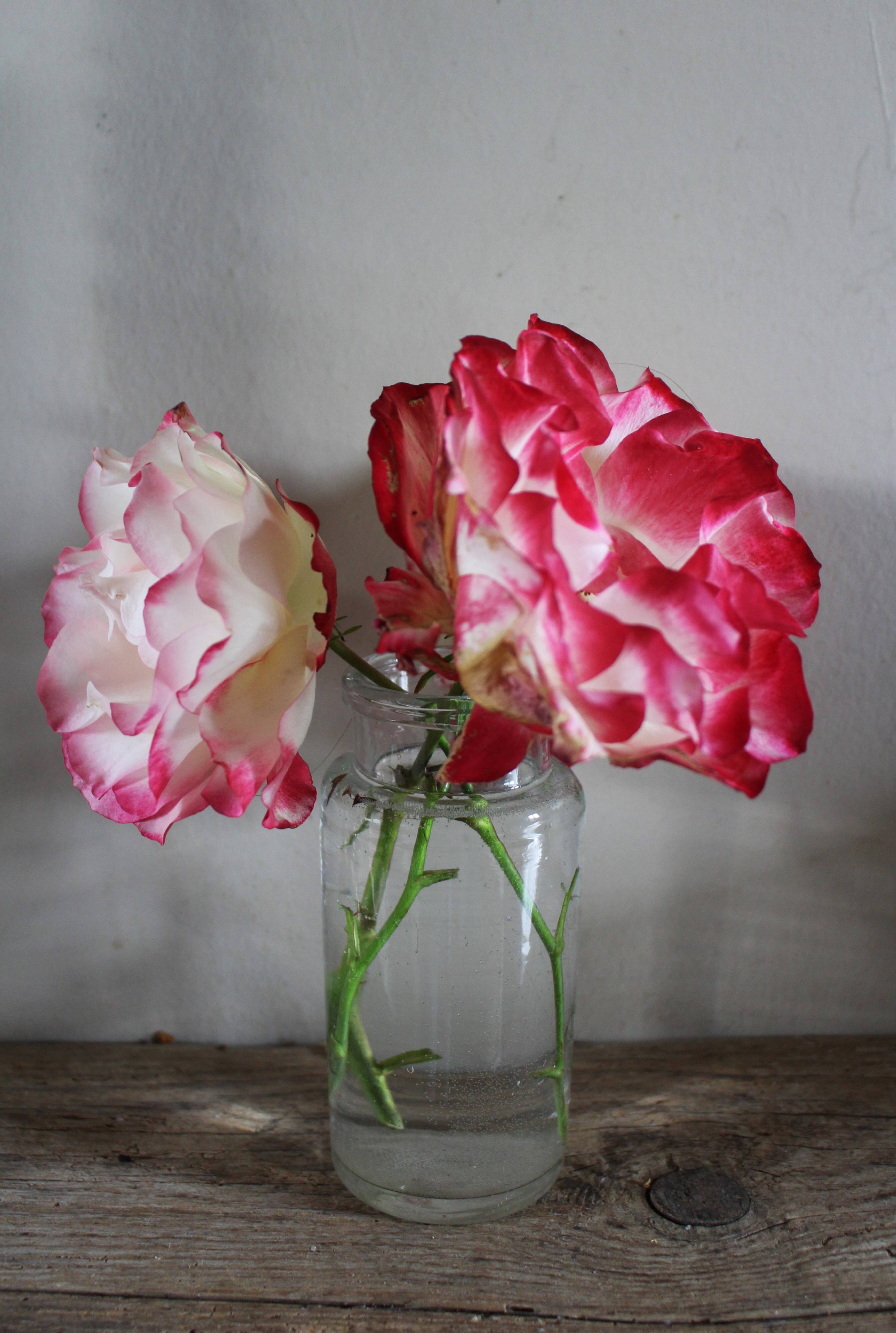 Vase Flacon ancien conservation verre transparent