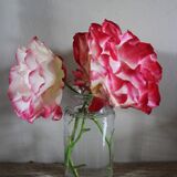 Vase Flacon ancien conservation verre transparent