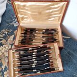 Coffret à Couverts à Poisson Antique en Acier Inoxydable et Bois du Milieu du 20ème Siècle