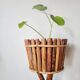 Vintage 3-tier plant stand in bamboo and rattan