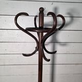 Perroquet ancien en bois courbé