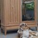 Armoire/ penderie