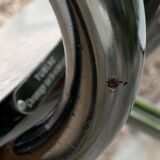 Tublac compass formica 5 chairs