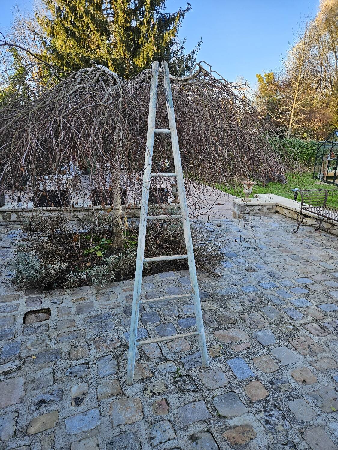 Wooden picking ladder