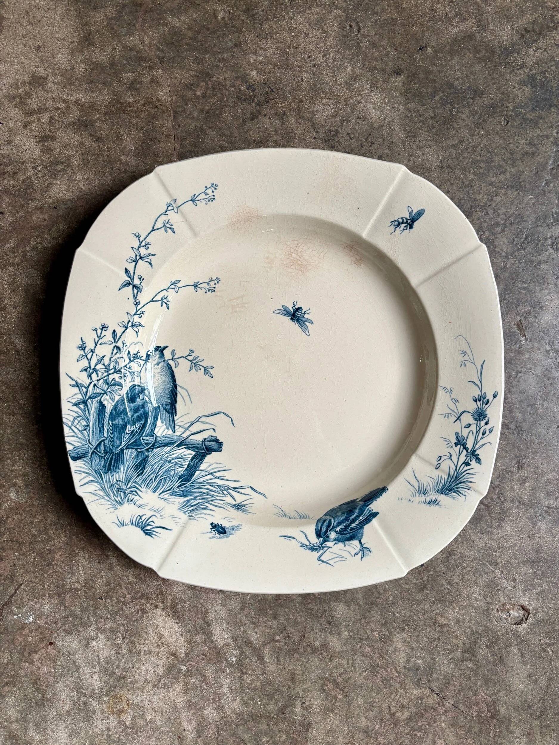 Medium square hollow plate Gien in blue ironstone, service "Birds" around 1870.