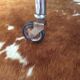 Formica trolley