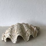 Clam shell