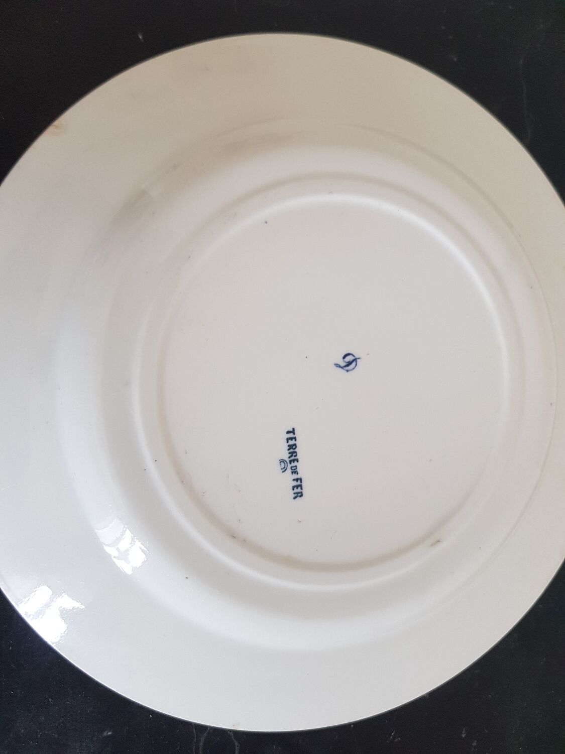 Earthenware plate terra iron model clairefontaine