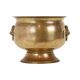 Antique Brass Jardinière Plant Pot with Lion Heads, Early 20th Century