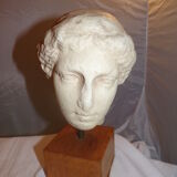 Aphrodite Bust