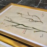 Lot of herb boards from 1950