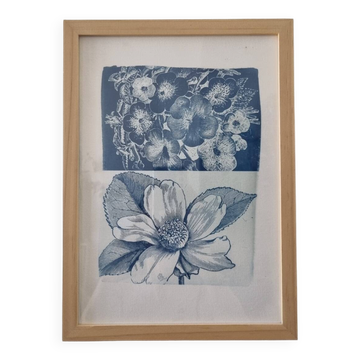 Tableau cyanotype botanique encadré