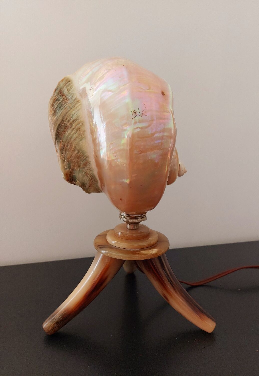 Shell lamp 50s
