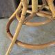 Coat holder Parrot rattan 1970