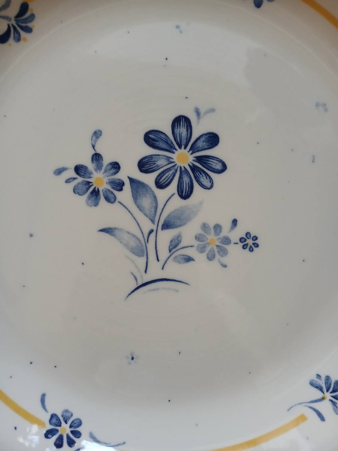 6 assiettes plates + 1 plat "Biltons " England 