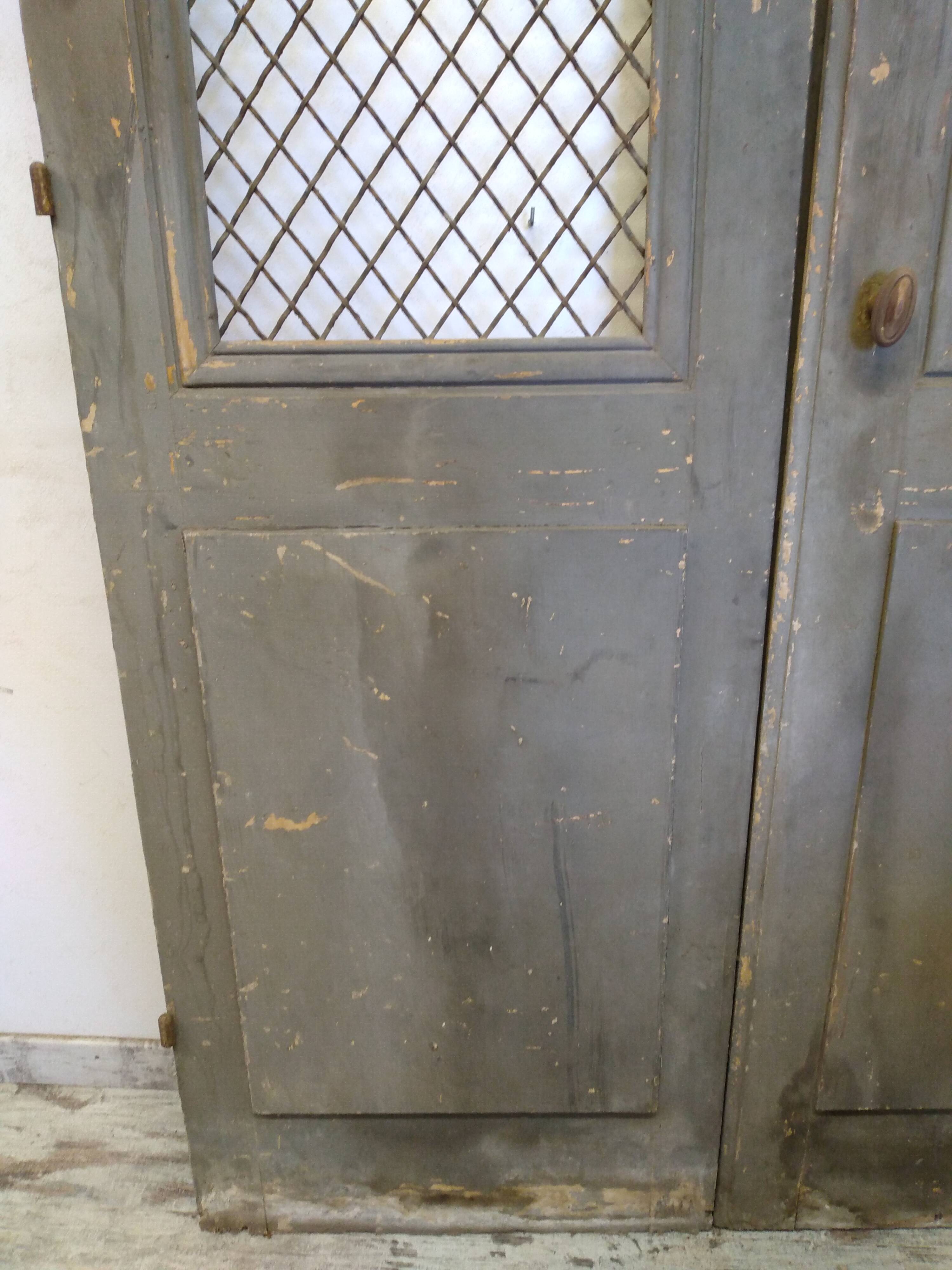 Double old mesh door