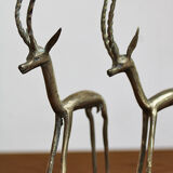 Brass gazelles