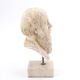Plaster bust of a Greek man Socrates, 1970s