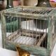 Cage à oiseaux en bois et acier
