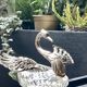 Crystal/silver metal set -pepper-salt-gravy boat – swan