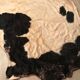 Carpet vintage skin of cow 200x150cm