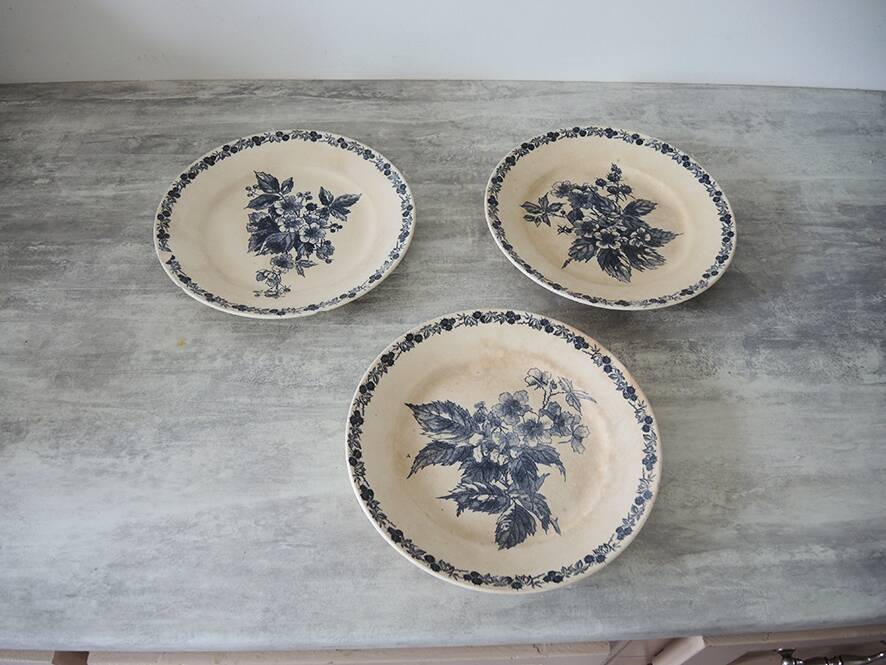 3 old flat plates in iron earth longchamp : blackberries