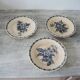 3 old flat plates in iron earth longchamp : blackberries