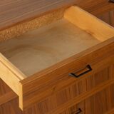 Classic shoe cabinet from the 1960s, walnut veneer, four drop-down doors, two drawers