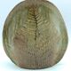 Fern vase in glazed stoneware by Chrislaine Bodin