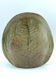 Fern vase in glazed stoneware by Chrislaine Bodin