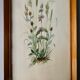 Watercolor painting of wildflowers and grasses, signed, 70s