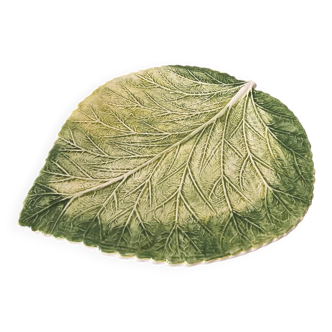 Cabbage leaf dish with slushie