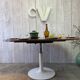 Tulip system table