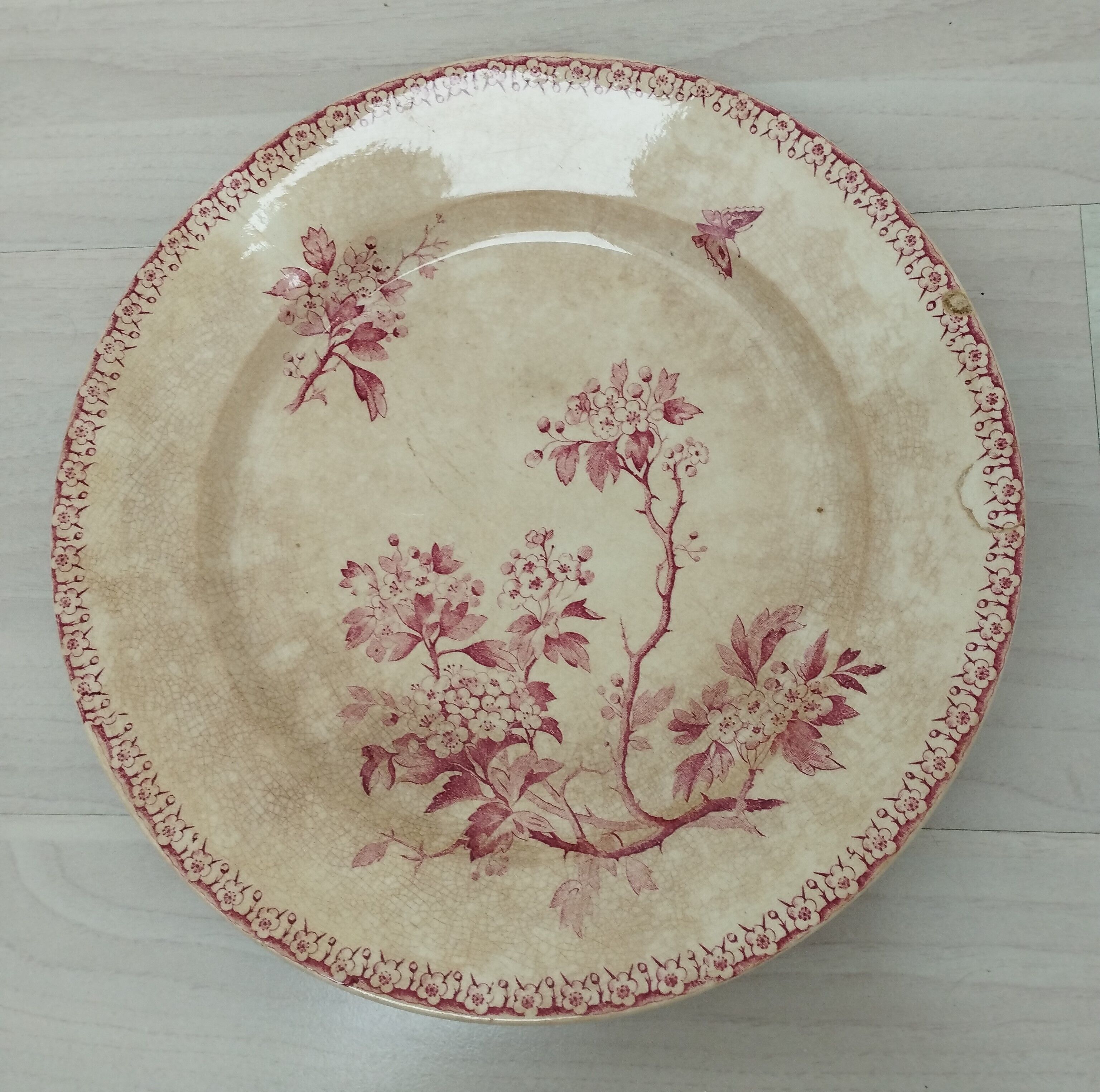 Round plate in iron earth of Gien model Pink Hawthorn