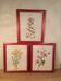 3 framed botanical posters, St. John's wort, purple, saponnary