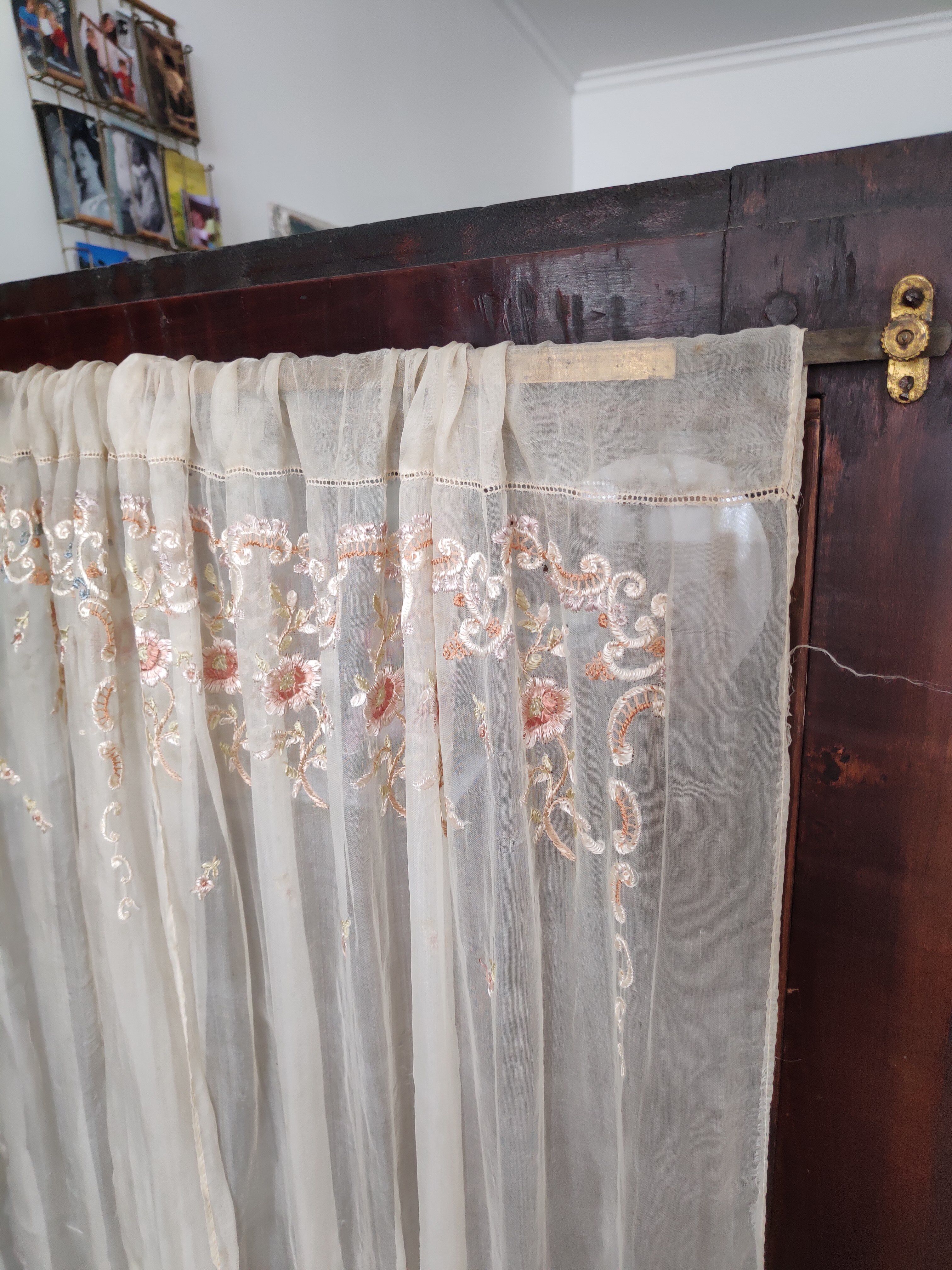 Window cap in elm magnifying glass