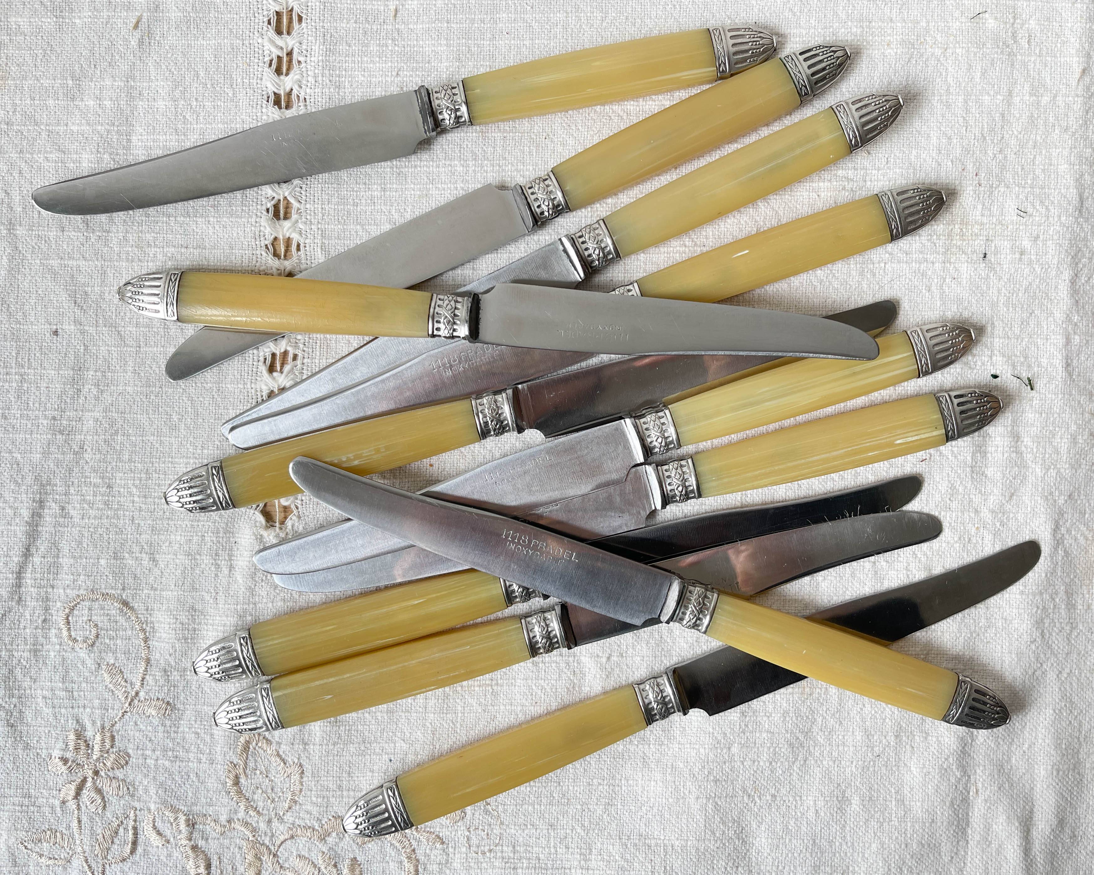 12 couteaux vintage bakélite Inox Pradel