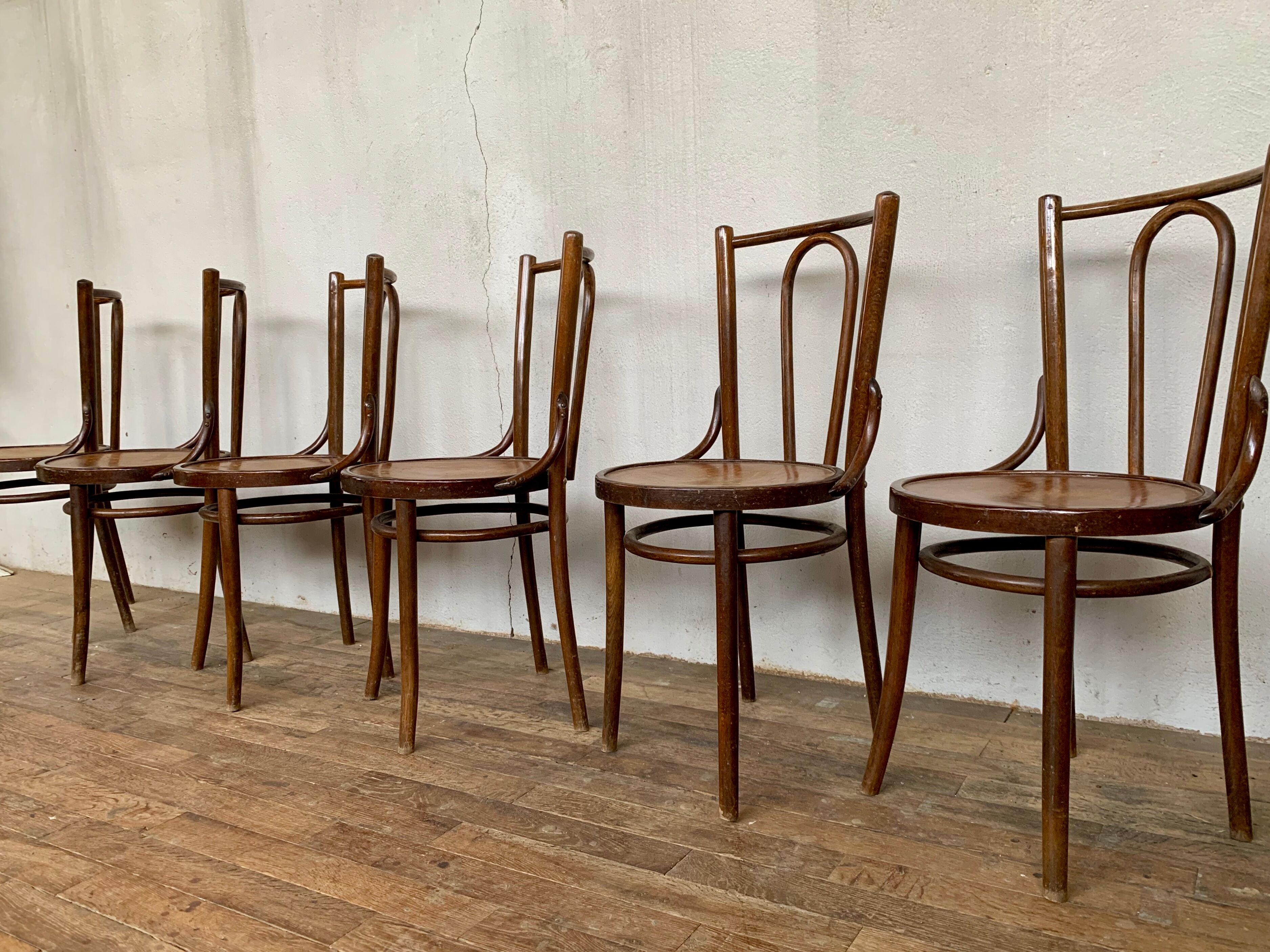 Series of 6 chairs bistrot wood curve art nouveau decor nenuphar dlg tuna and fischel kohn
