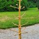 Brutalist coat rack on boxwood stand