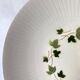 Saint Amand Ceranord deep plates, Bourrasque