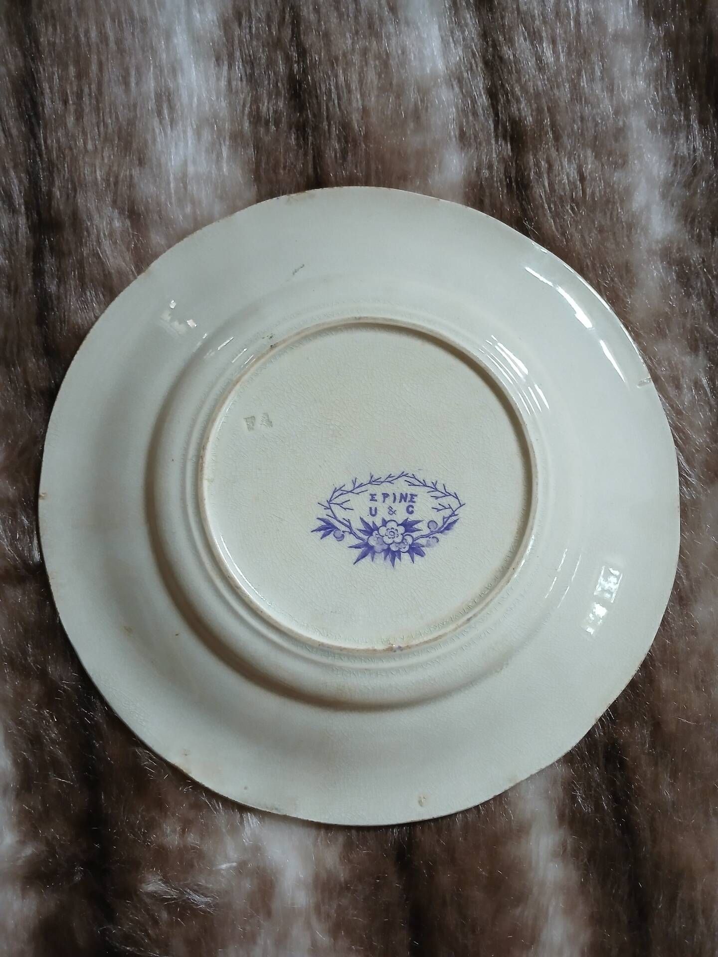 10 antique flat plates in ironstone