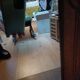 Mirror with 2 drawers solid oak. 50s